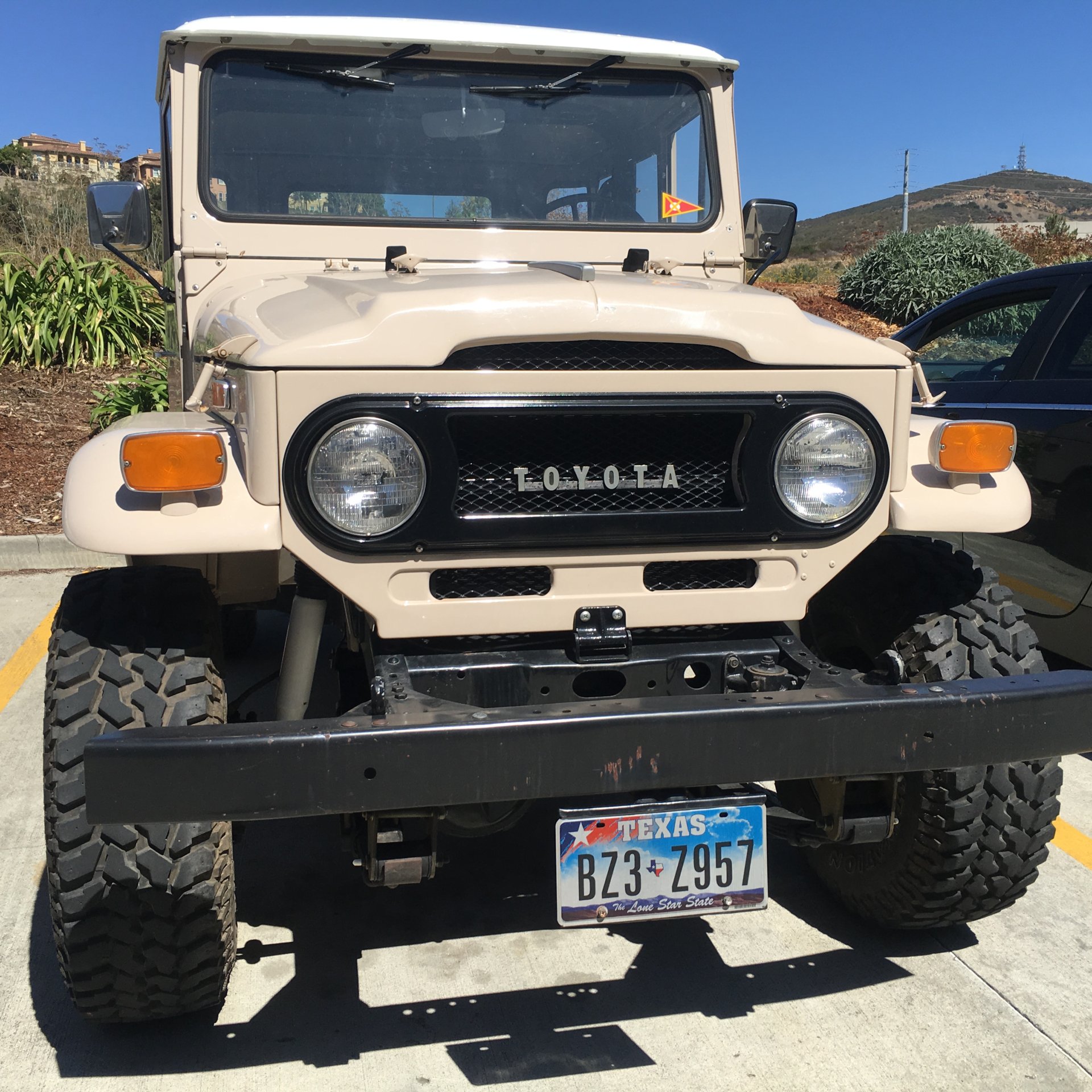 Introduce Yourself (Example Post)